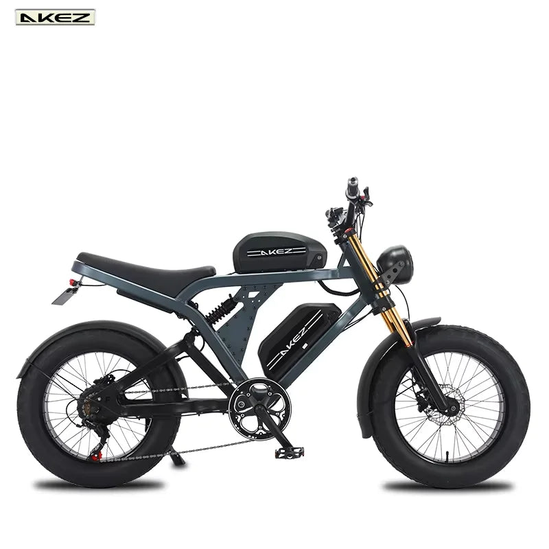 US Stock 1500w 48V Fat Tire Electric Bike Motorcycle Adults Off Road With Removable Dual Battery Mountain All-Terrain Bikes