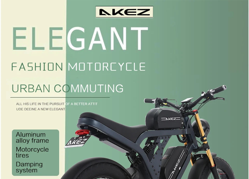 US Stock 1500w 48V Fat Tire Electric Bike Motorcycle Adults Off Road With Removable Dual Battery Mountain All-Terrain Bikes