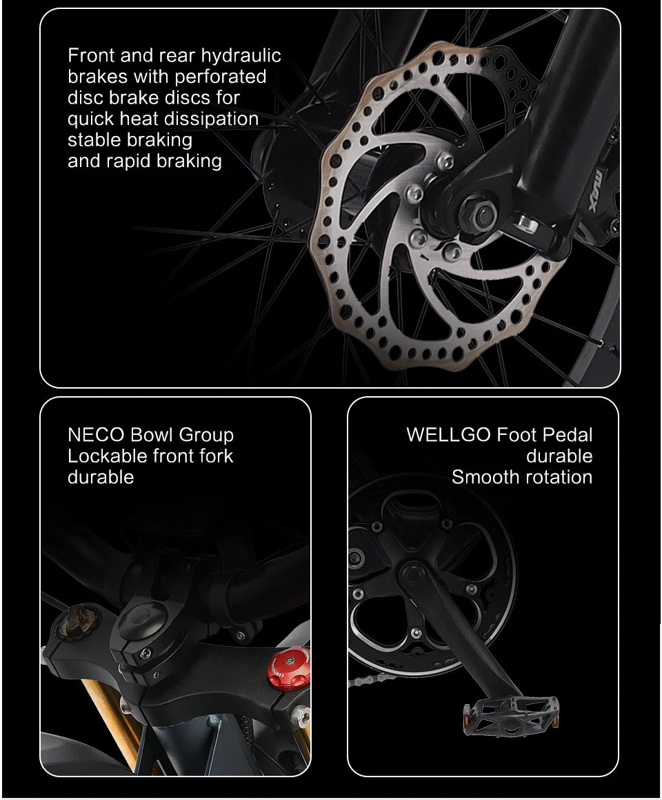 US Stock 1500w 48V Fat Tire Electric Bike Motorcycle Adults Off Road With Removable Dual Battery Mountain All-Terrain Bikes